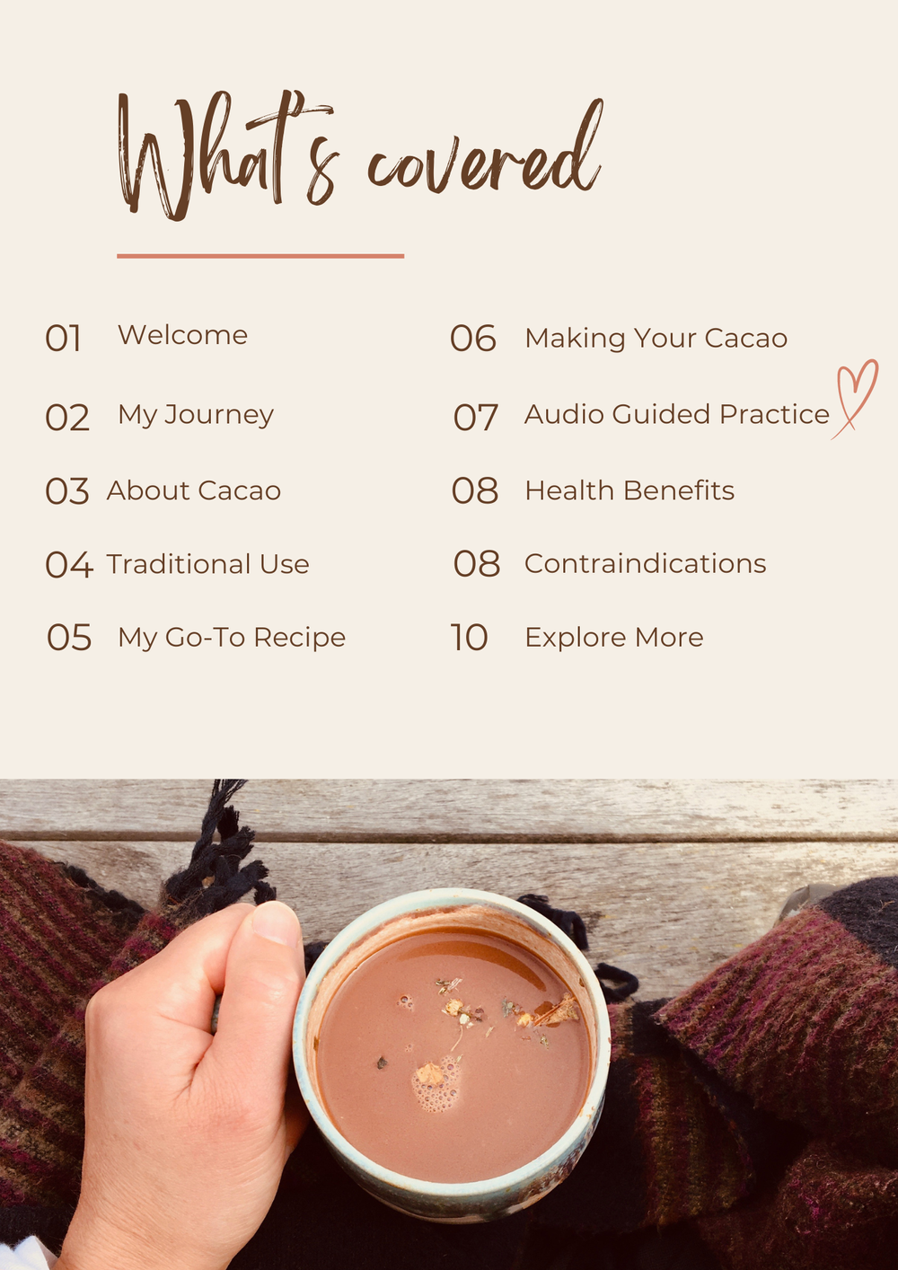 Cacao: An Introductory Guide — Lets Step In